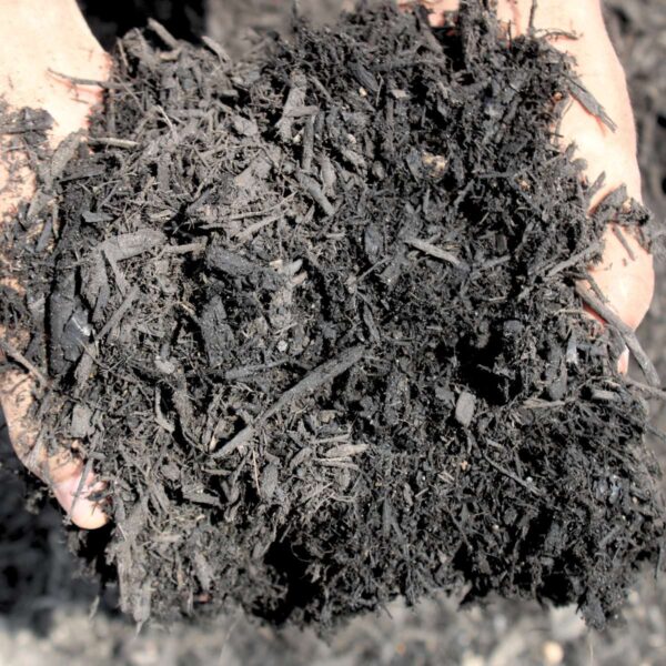 Second image of Black Mulch