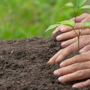 compost-1