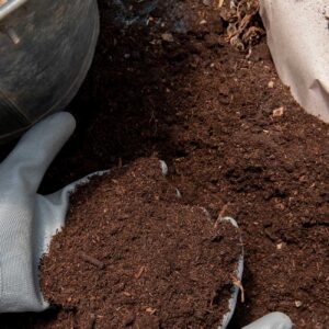 compost2