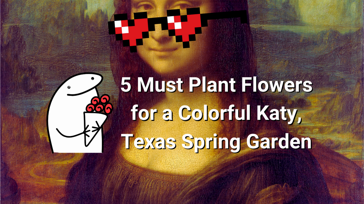 5 Must-Plant Flowers for a Colorful Katy, Texas Spring Garden