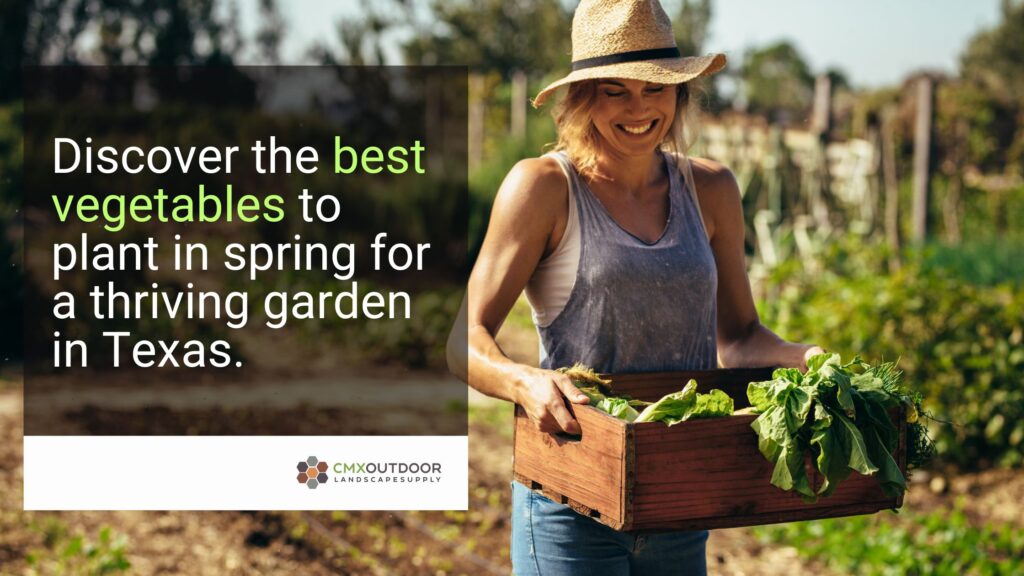 Discover the best vegetables to plant in spring for a thriving garden in Texas.