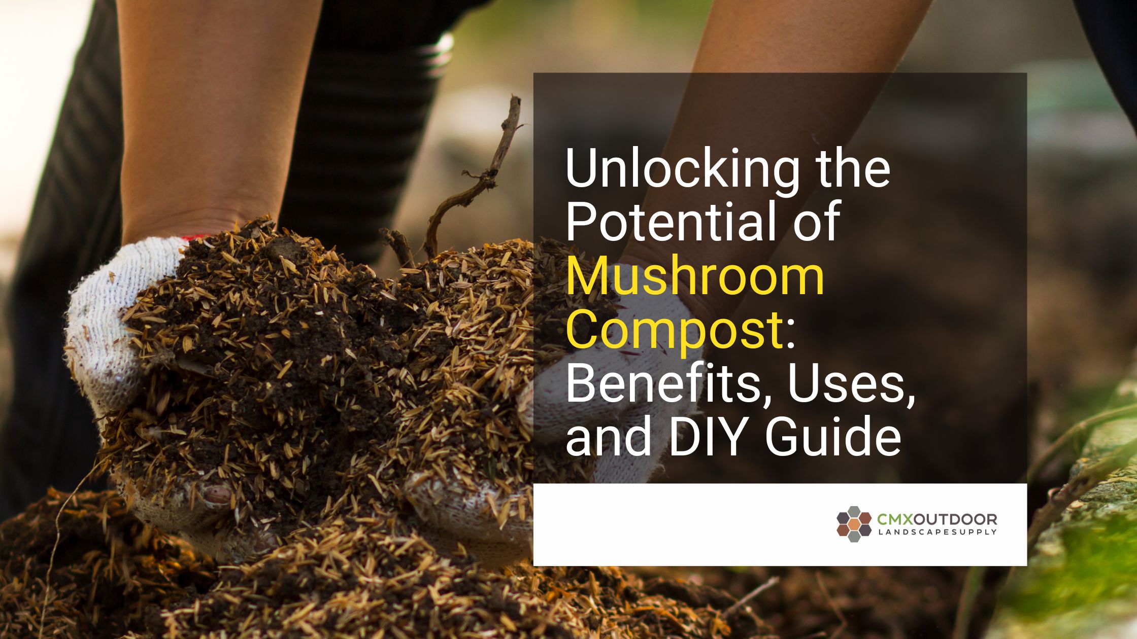 Mushroom Compost: What It Is, What It Does, And How To Make It