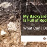 My Backyard Soil Is Full of Rocks - What Can I Do?