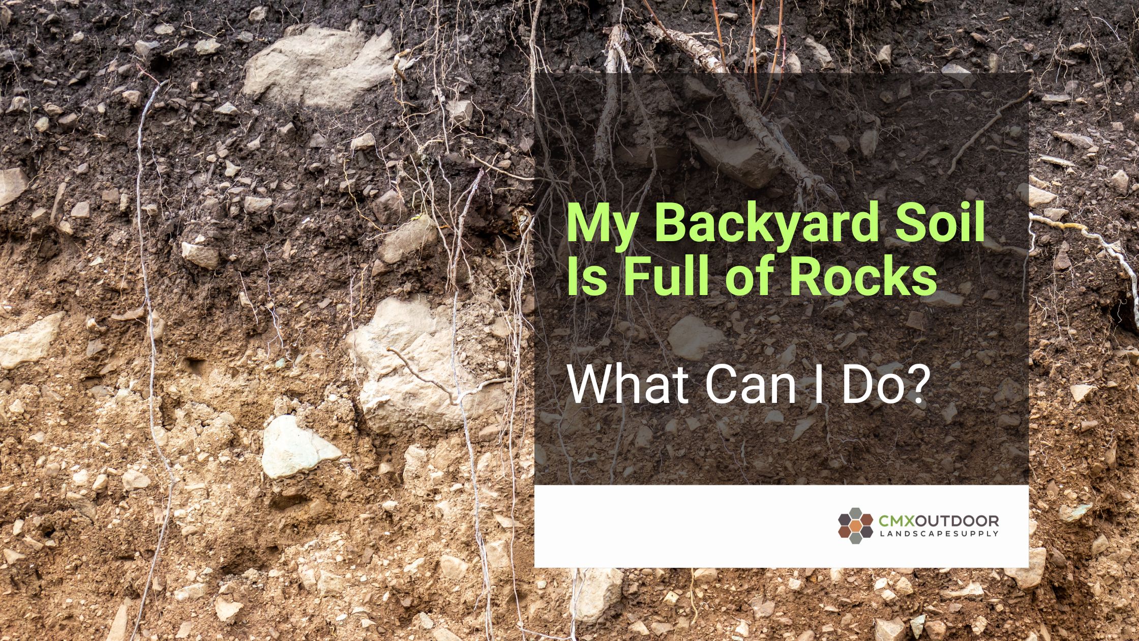 My Backyard Soil Is Full of Rocks – What Can I Do?