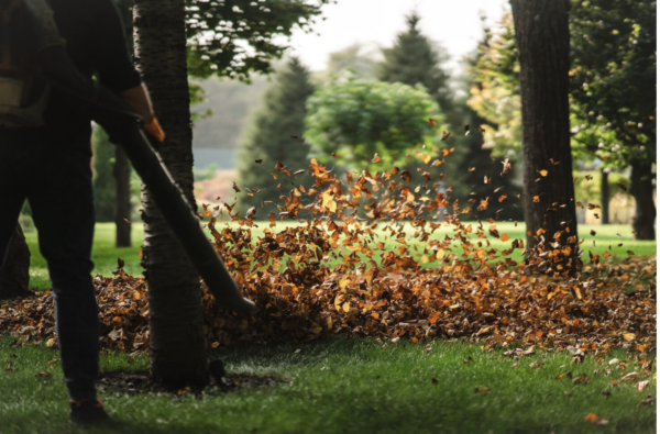 Should You Mulch in the Fall?