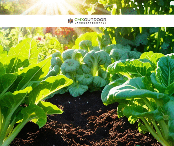 Mushroom Compost Near Me – Why It’s Perfect for Texas Gardens